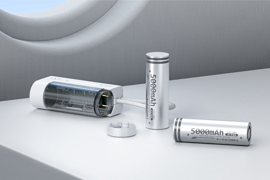 Replaceable Battery Module